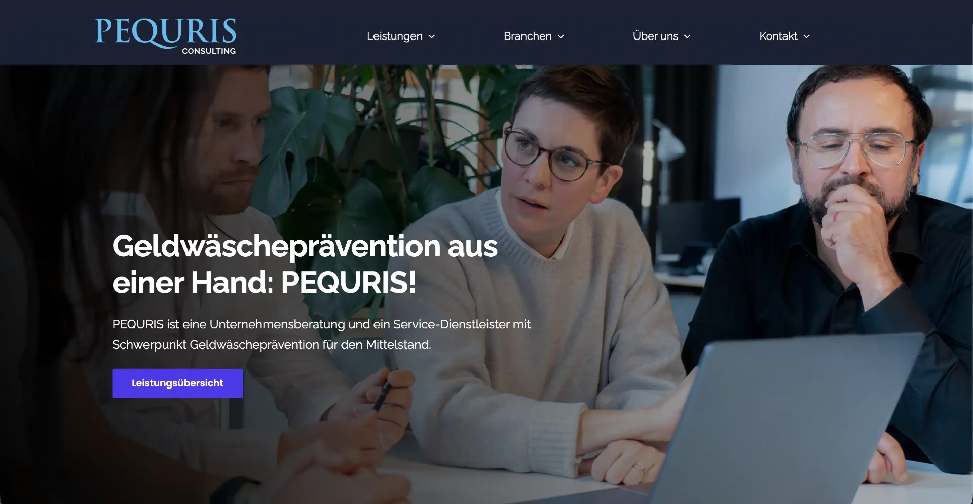 Website von PEQURIS Consulting