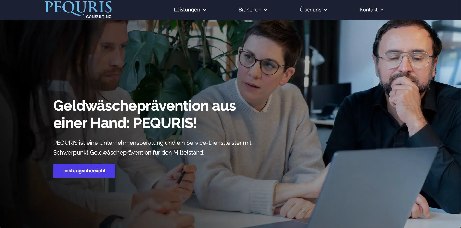 Website von PEQURIS Consulting